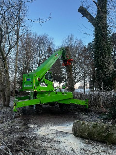 PHOTO 2025 01 11 19 46 22