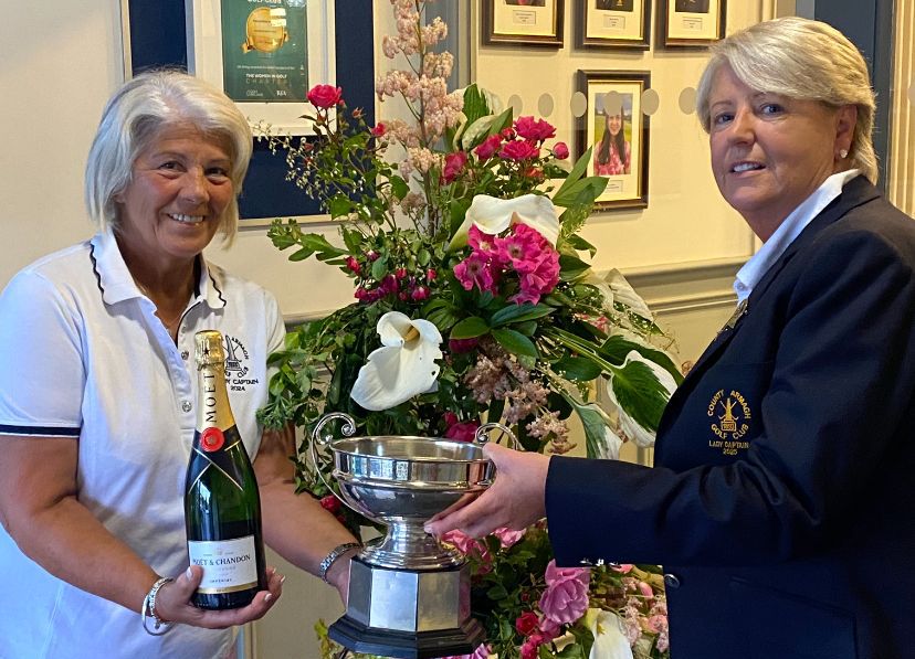 c3f85f34 156d 439d 8ed0 f642218aac4a